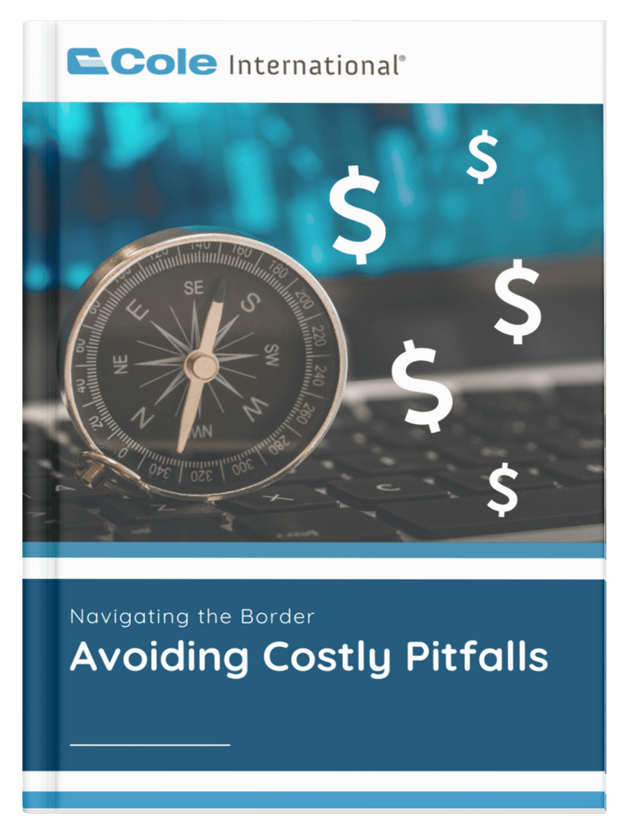 Navigating the Border - Avoiding Costly Pitfalls